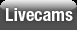 LiveCams