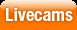 LiveCams